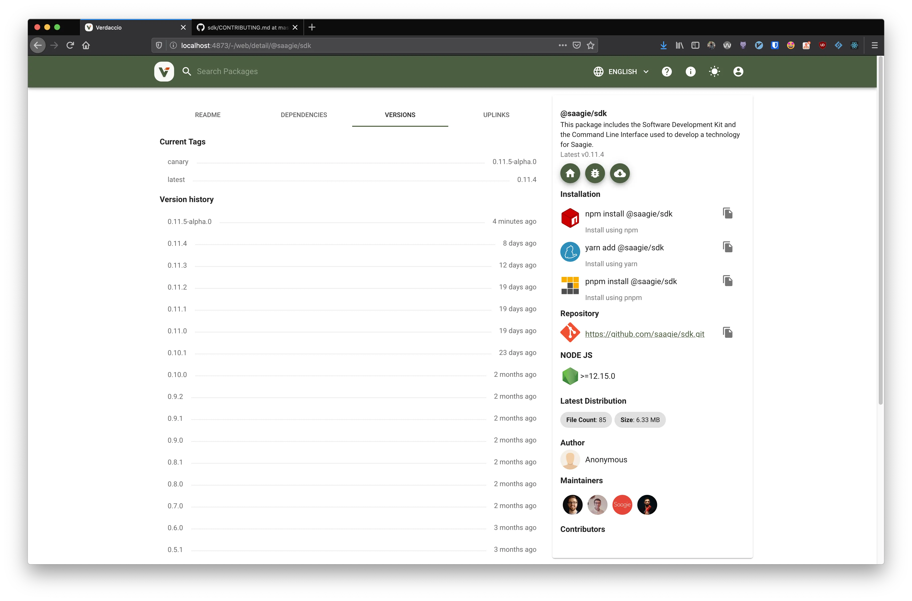 Verdaccio result web output